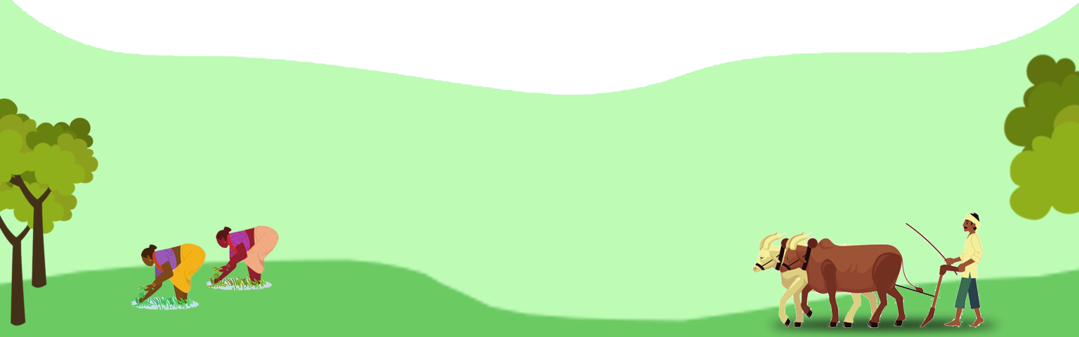 organic image 1