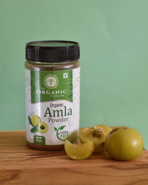 organic amla powder by the organic shoppee